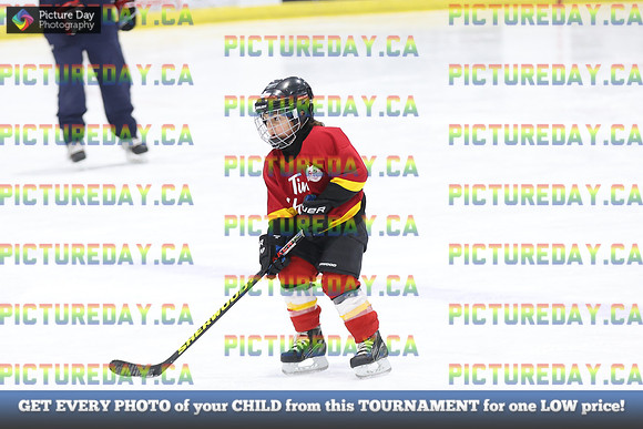 2026-02-15-AS033356