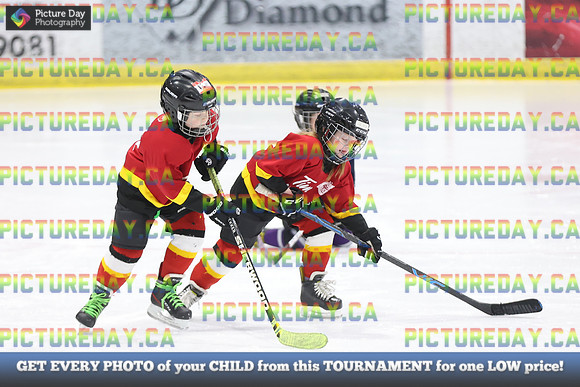 2026-02-15-AS033369