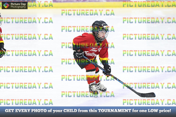 2026-02-15-AS033372