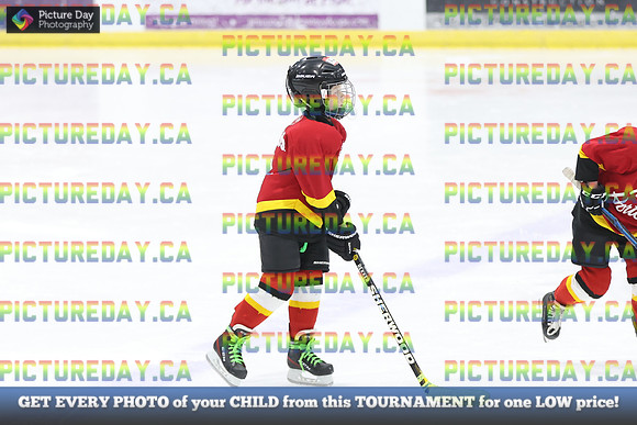 2026-02-15-AS033373