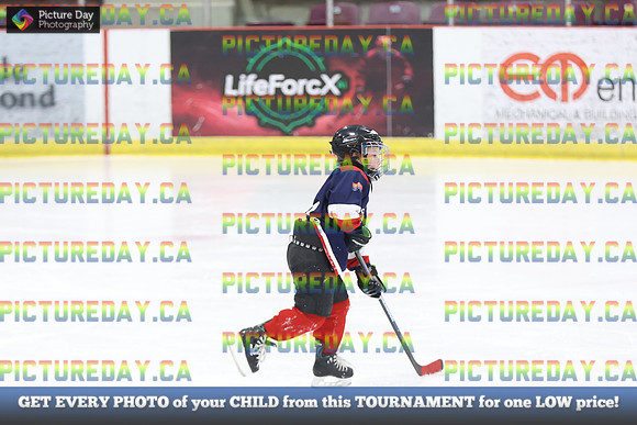 2026-02-15-AS033382