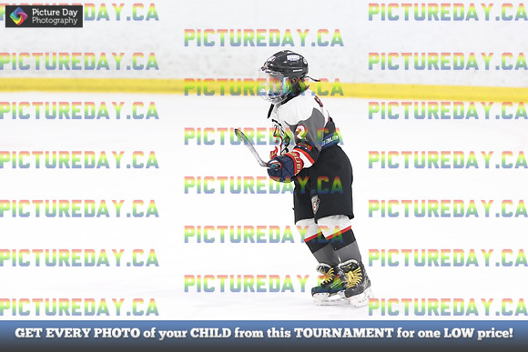 2026-02-15-AS033677