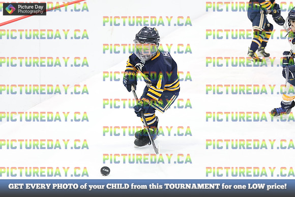 2026-02-15-AS034028