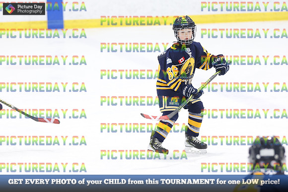 2026-02-15-AS034035