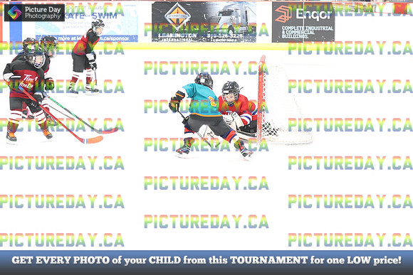 2026-02-15-AS034376