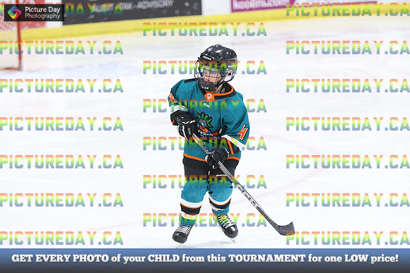 2026-02-15-AS034388