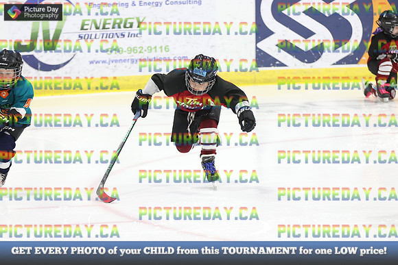 2026-02-15-AS034386