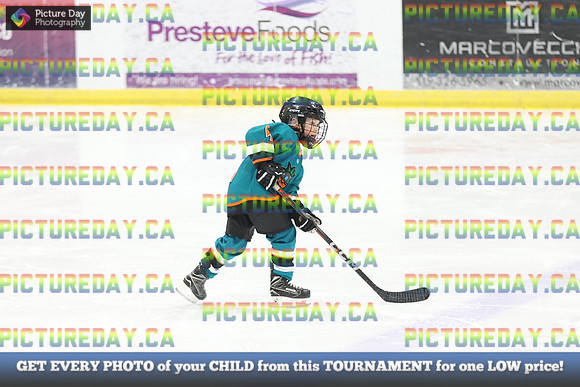 2026-02-15-AS034380