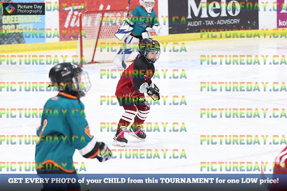 2026-02-15-AS034394