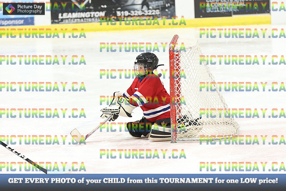 2026-02-15-AS034397