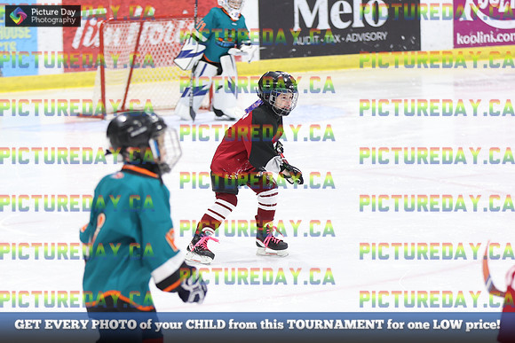 2026-02-15-AS034395
