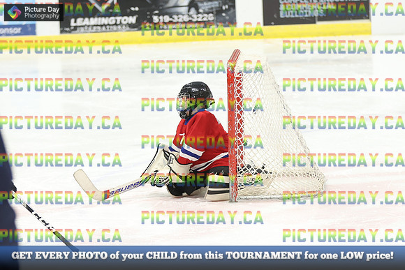 2026-02-15-AS034398