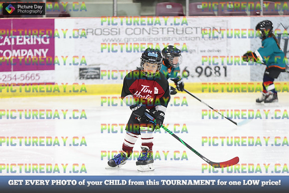 2026-02-15-AS034408