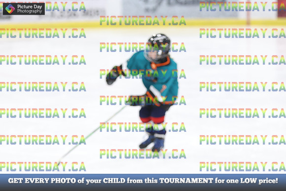 2026-02-15-AS034421