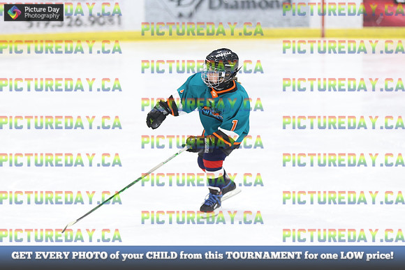 2026-02-15-AS034420