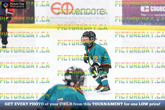 2026-02-15-AS034422