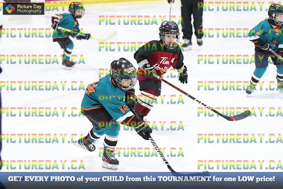 2026-02-15-AS034430