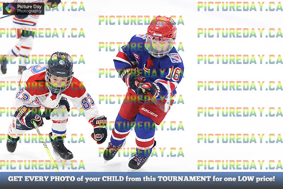 2026-02-15-AS034784