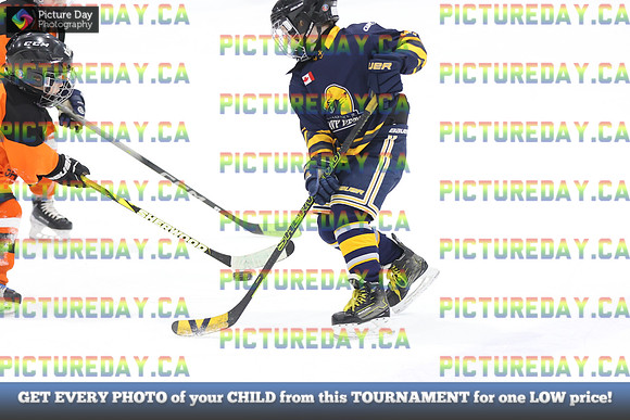 2026-02-15-AS035153