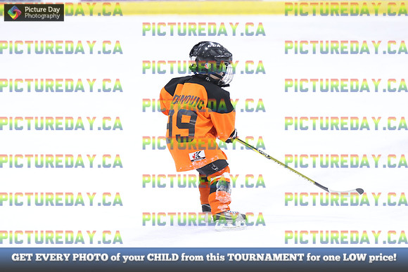 2026-02-15-AS035164