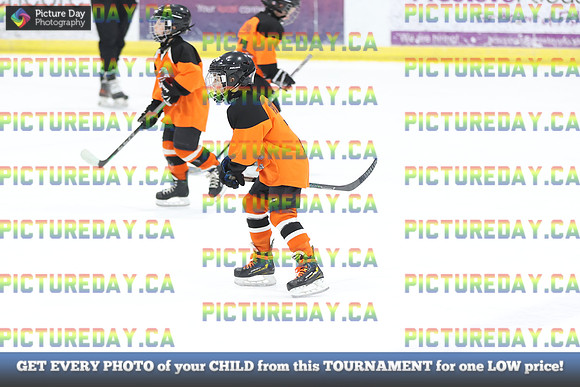 2026-02-15-AS035197