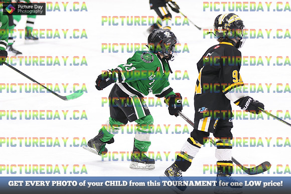 2026-02-15-AS035562
