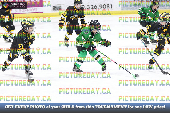 2026-02-15-AS035576