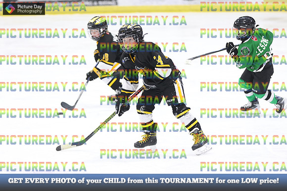 2026-02-15-AS035580
