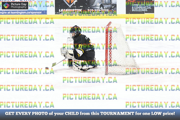2026-02-15-AS035597