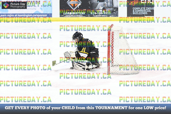 2026-02-15-AS035598