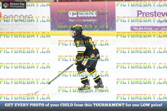2026-02-15-AS035619