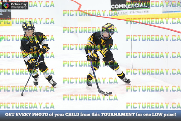 2026-02-15-AS035649