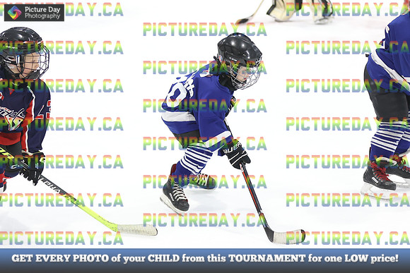 2026-02-15-AS035955