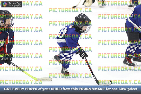 2026-02-15-AS035956