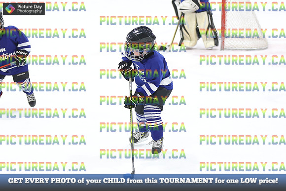 2026-02-15-AS035972