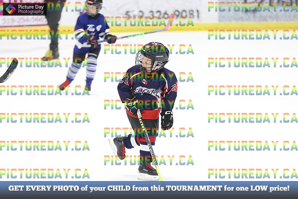 2026-02-15-AS035981