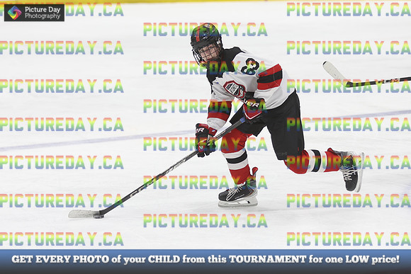 2026-02-15-TW031609