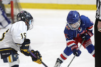 am 11.45 NEXUS-3 [SquirtBlack] Hamburg Hawks vs North Jersey Avalanche