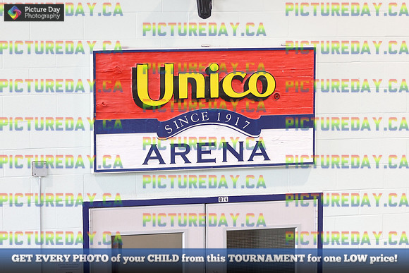 2026-02-15-AS036235