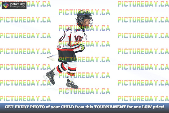 2026-02-15-AS036252