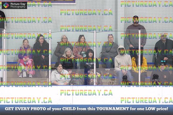 2026-02-15-AS036238