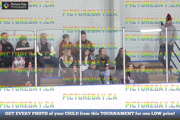 2026-02-15-AS036236