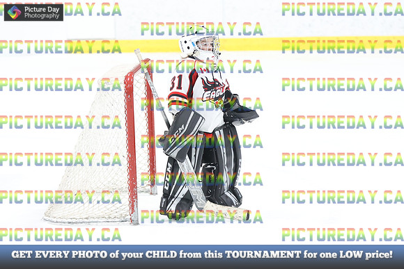2026-02-15-AS036253