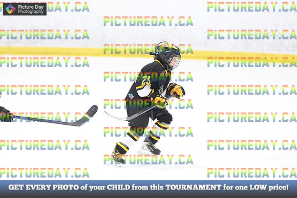 2026-02-15-AS036260