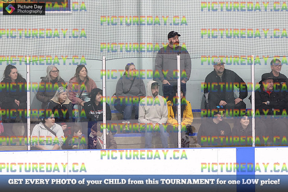 2026-02-15-AS036237
