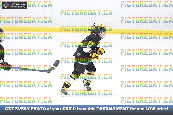 2026-02-15-AS036261