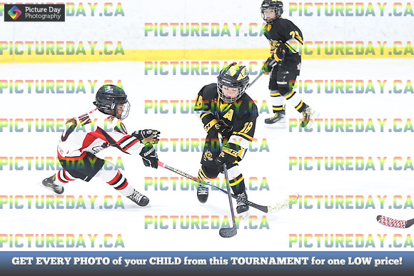 2026-02-15-AS036269
