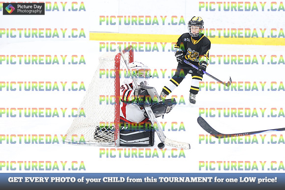 2026-02-15-AS036274