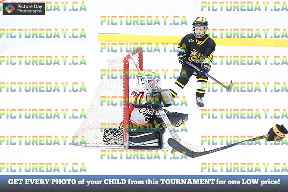 2026-02-15-AS036275