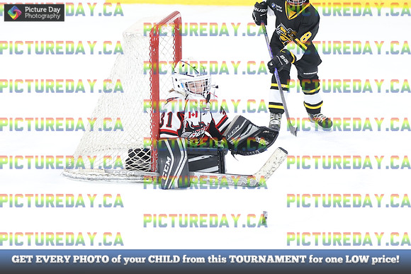 2026-02-15-AS036276